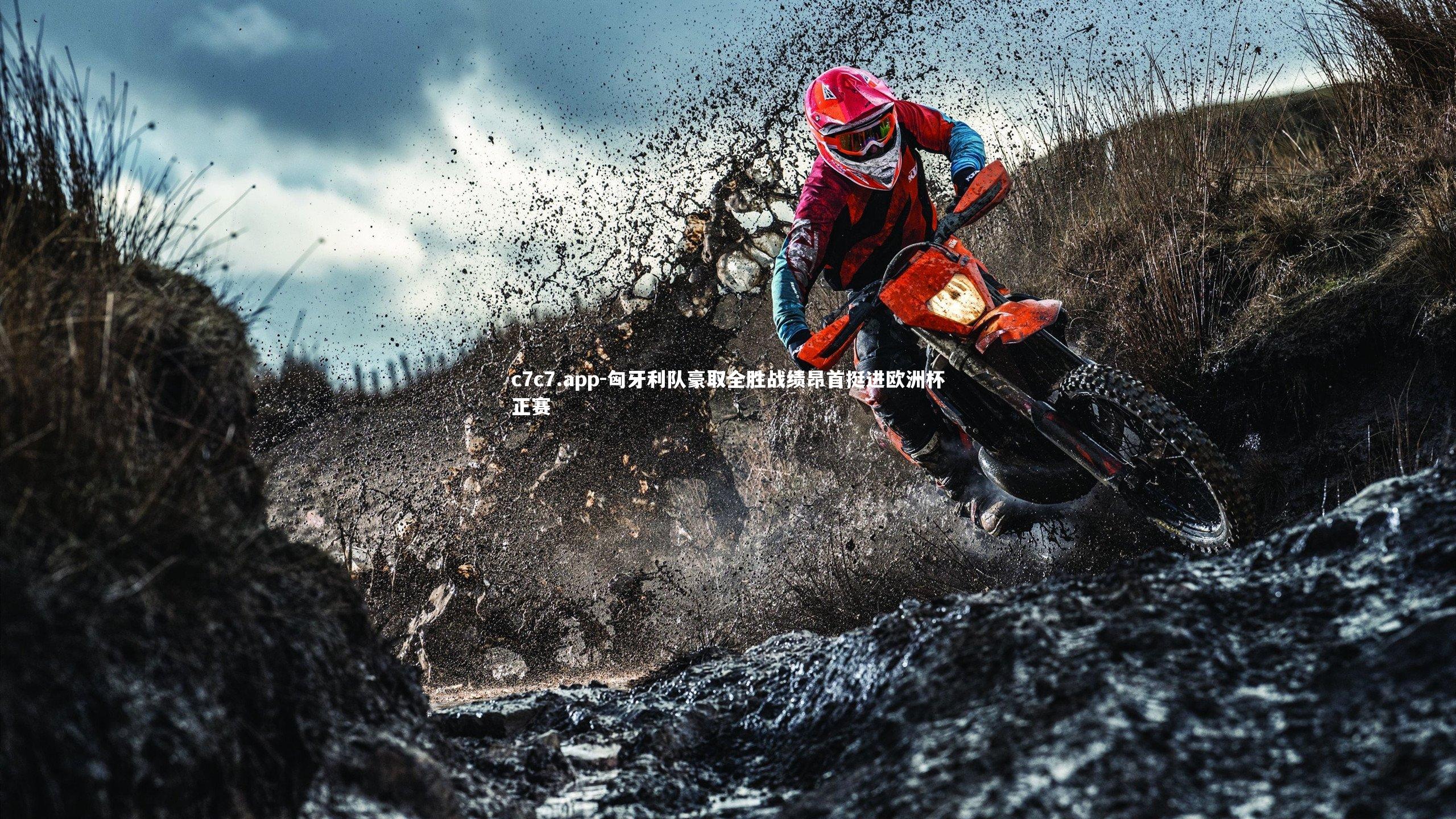 c7c7.app-匈牙利队豪取全胜战绩昂首挺进欧洲杯正赛